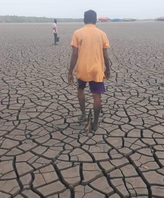 Description or Alt Text