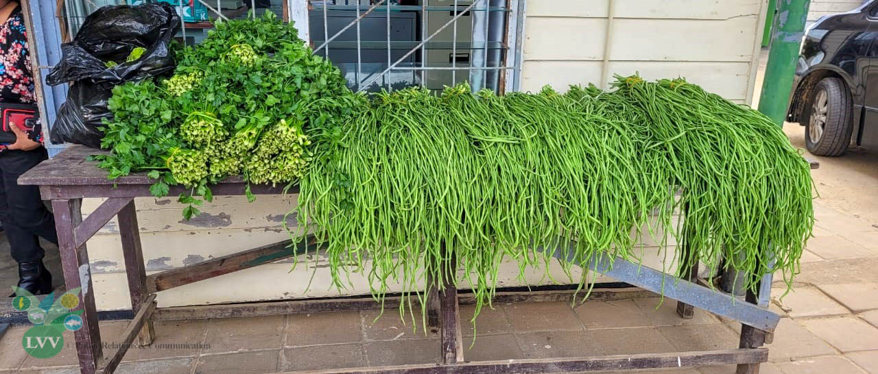 Description or Alt Text