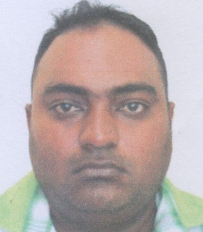 Description or Alt Text