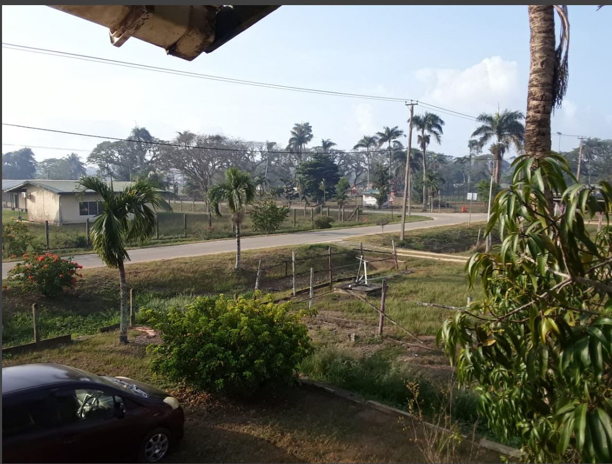 Description or Alt Text