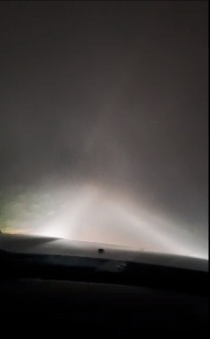 Description or Alt Text