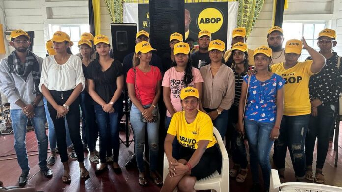 Description or Alt Text