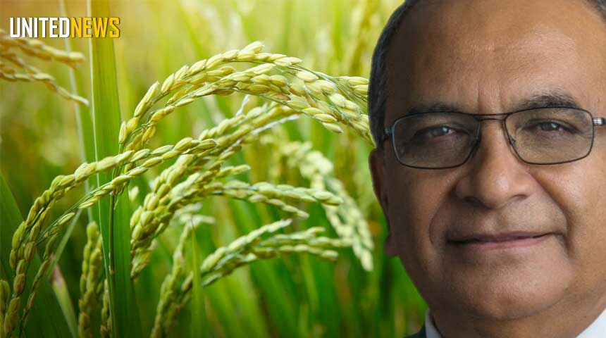 Description or Alt Text