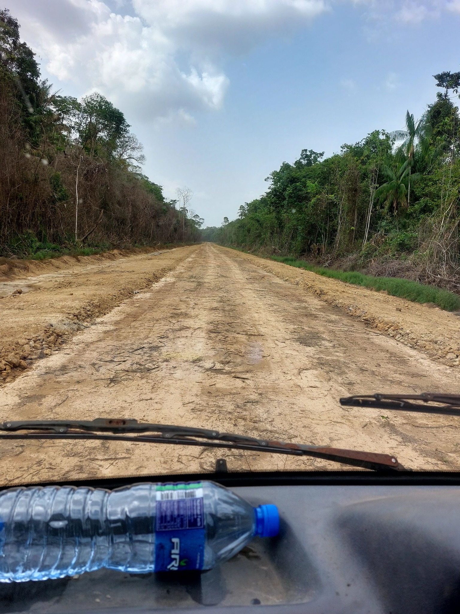 Description or Alt Text