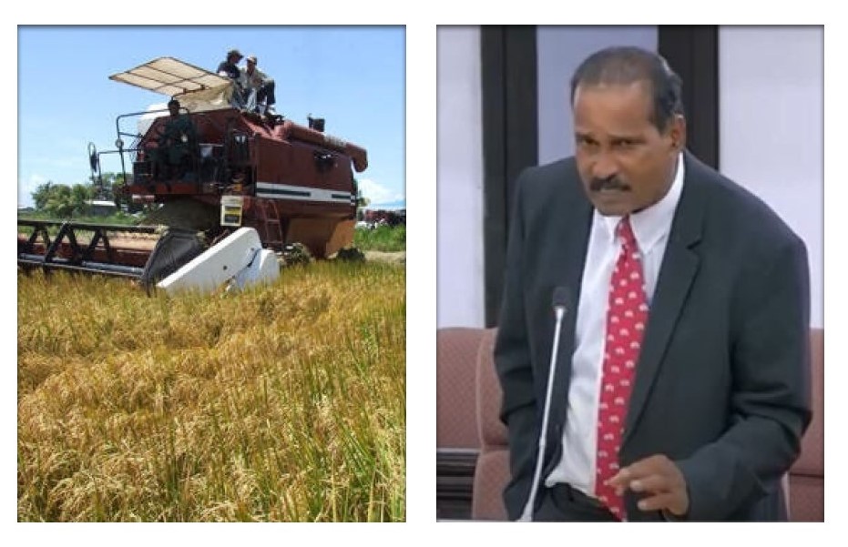 Description or Alt Text