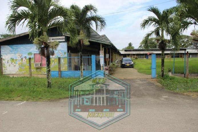 Description or Alt Text