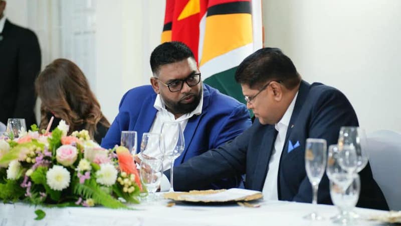 Description or Alt Text