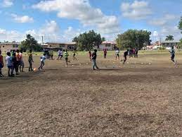 Description or Alt Text