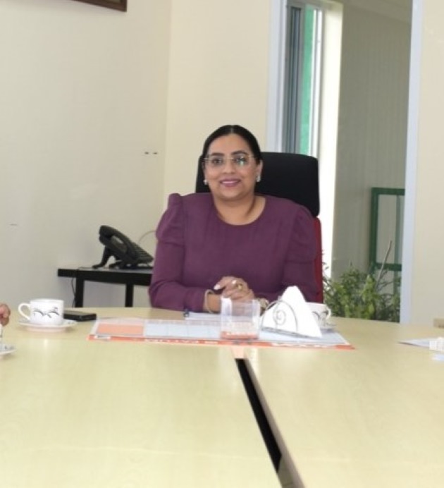 Description or Alt Text