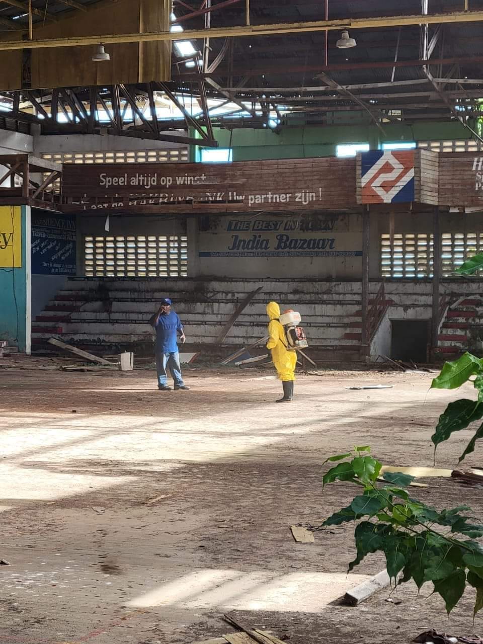 Description or Alt Text