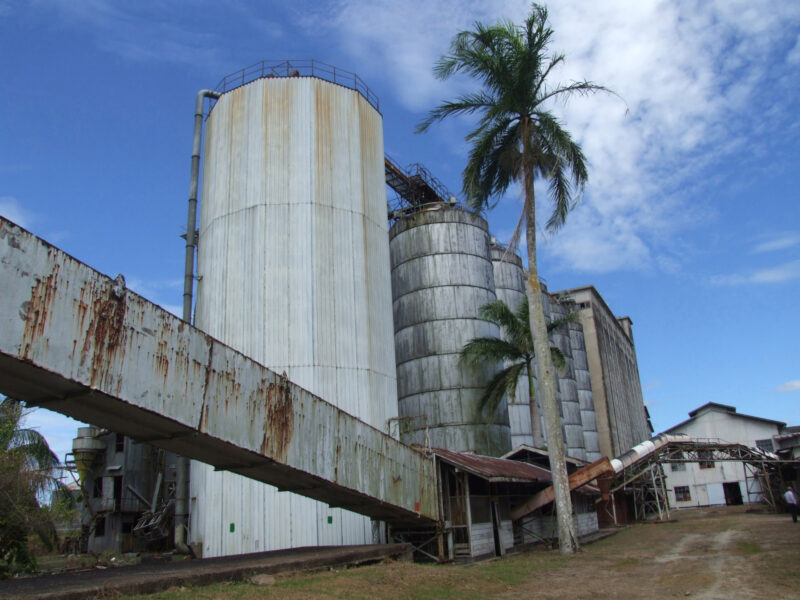 Description or Alt Text