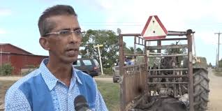 Description or Alt Text