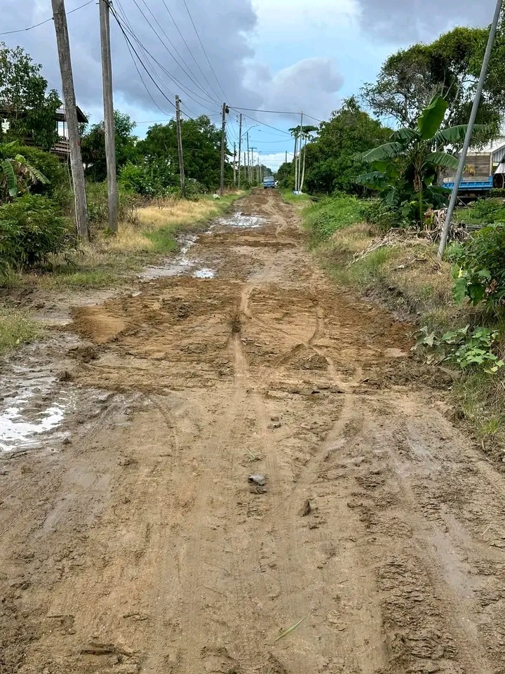 Description or Alt Text