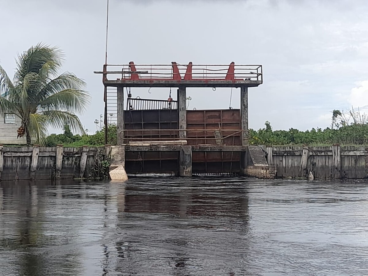 Description or Alt Text