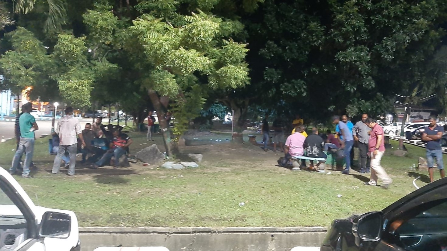 Description or Alt Text