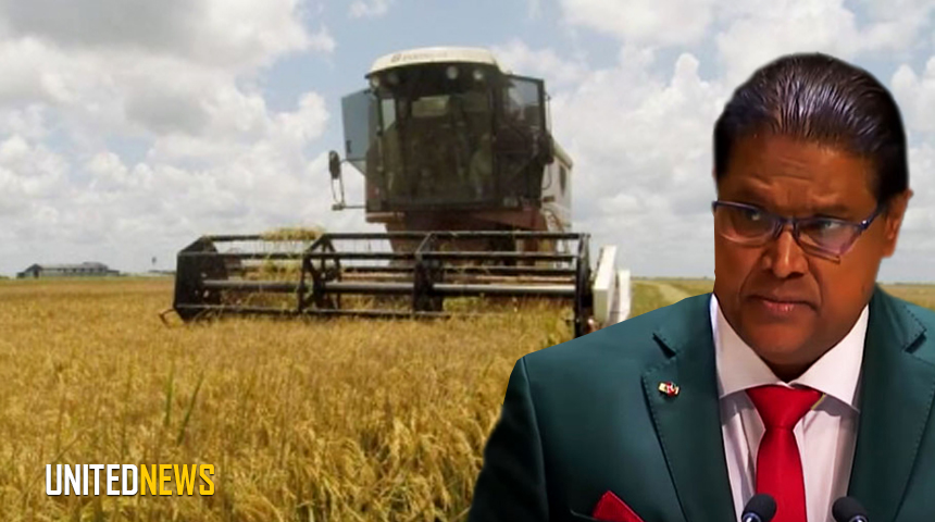 Description or Alt Text