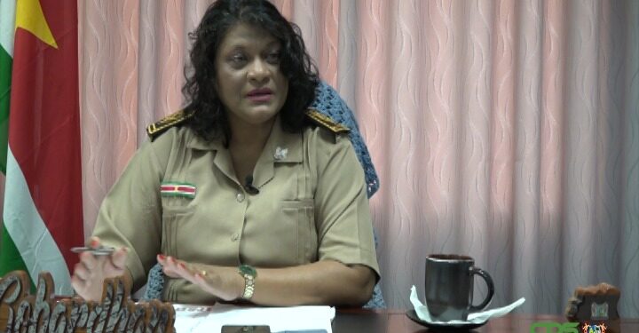 Description or Alt Text