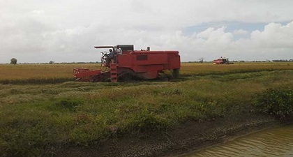 Description or Alt Text