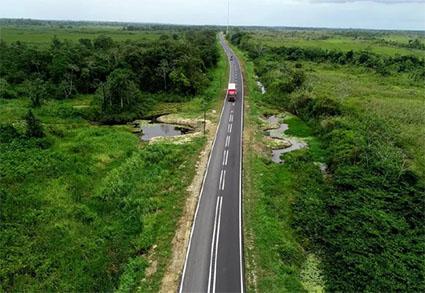 Description or Alt Text