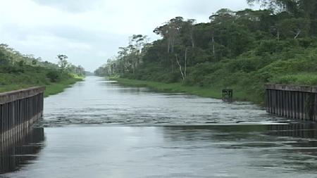 Description or Alt Text