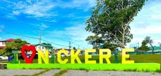 Description or Alt Text