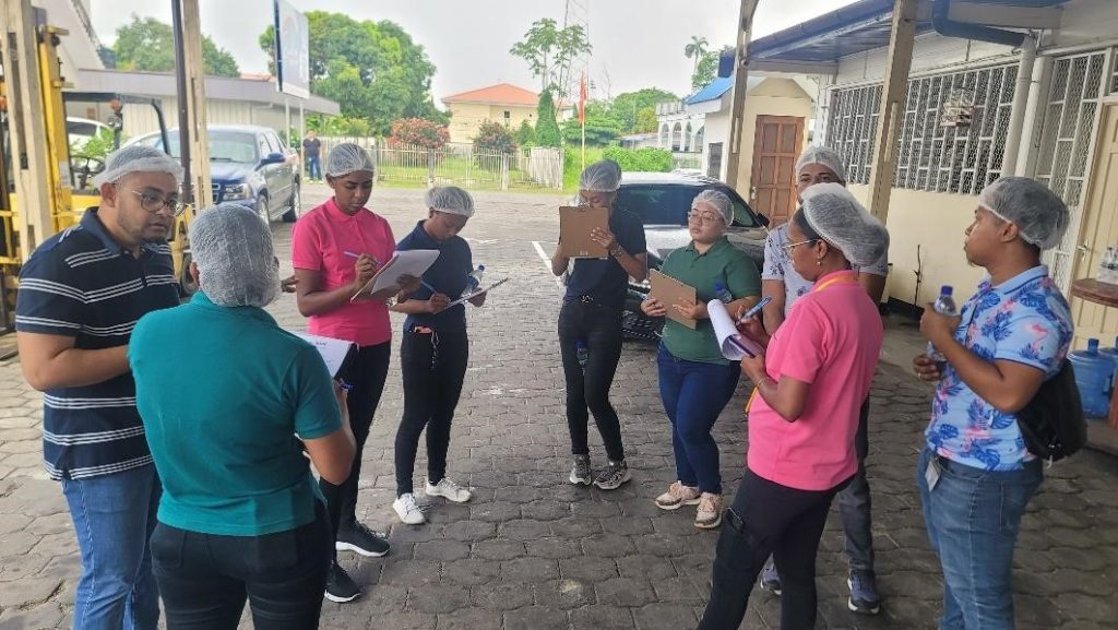 Description or Alt Text