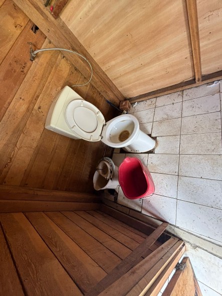 Description or Alt Text