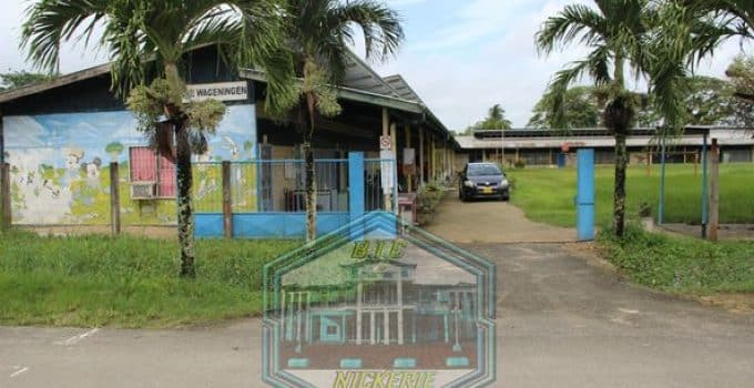 Description or Alt Text