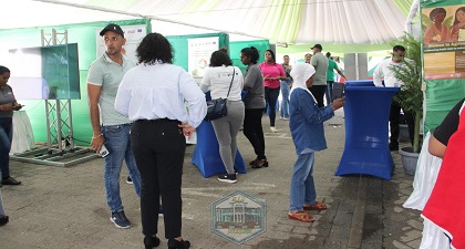 Description or Alt Text