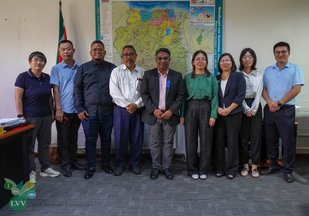 Description or Alt Text