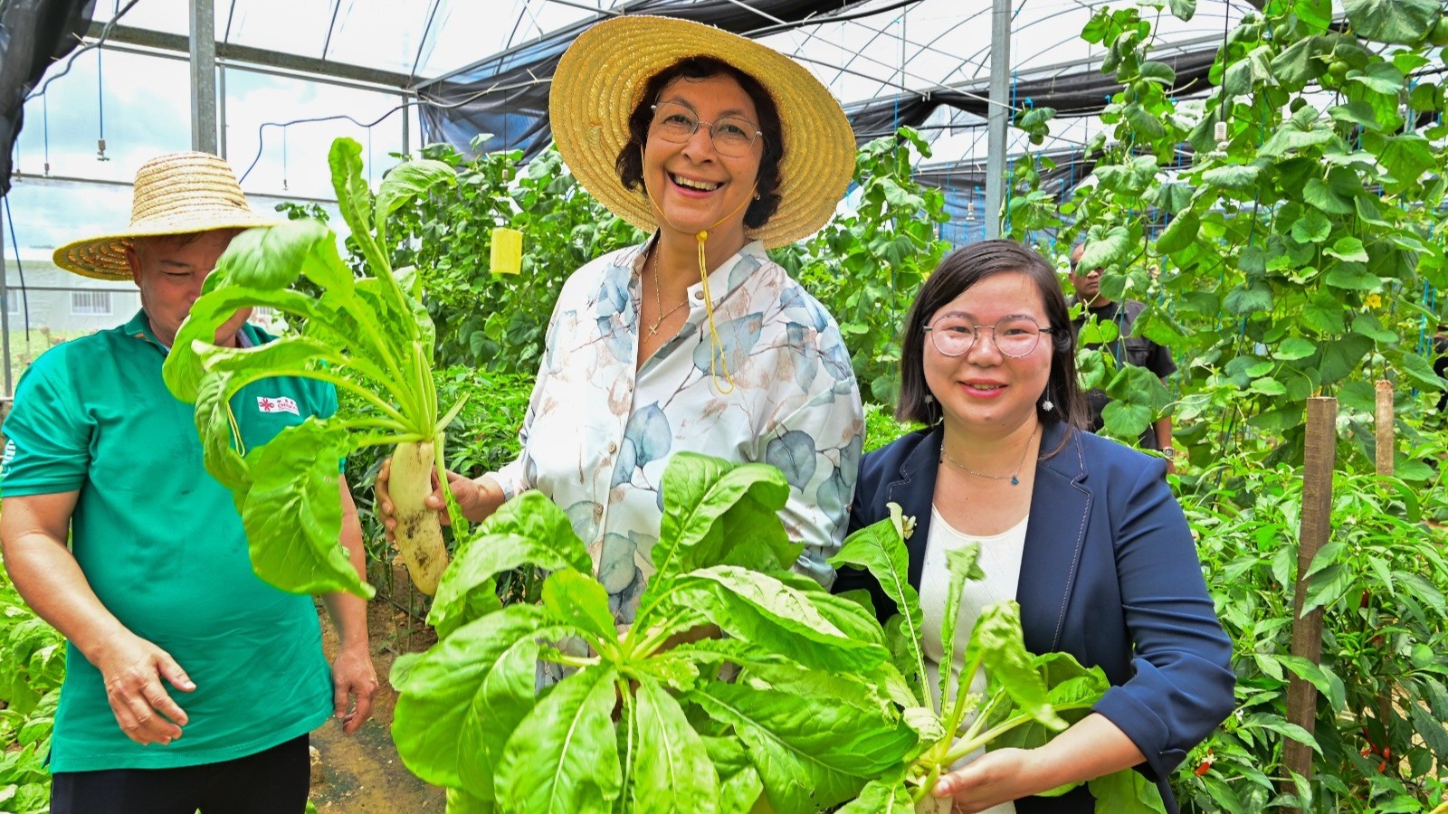 Description or Alt Text