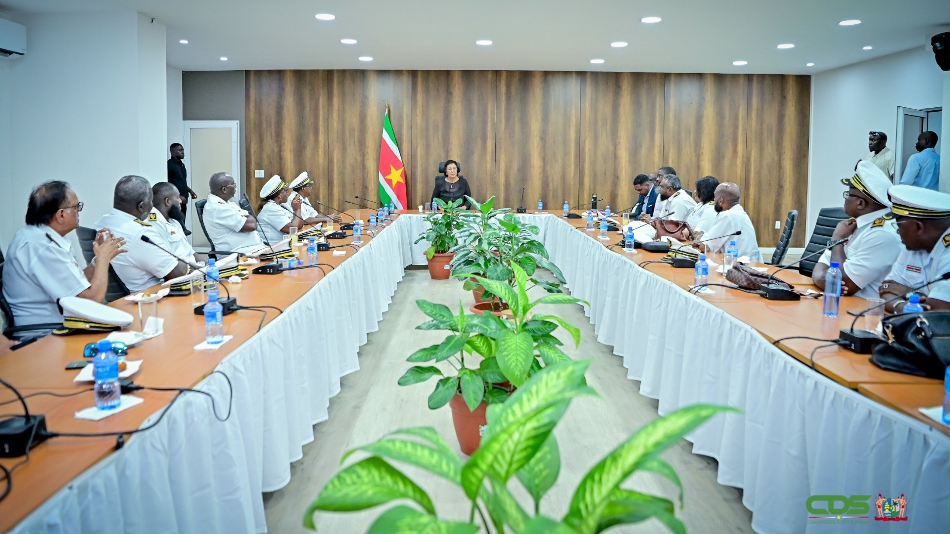 Description or Alt Text