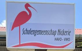 Description or Alt Text