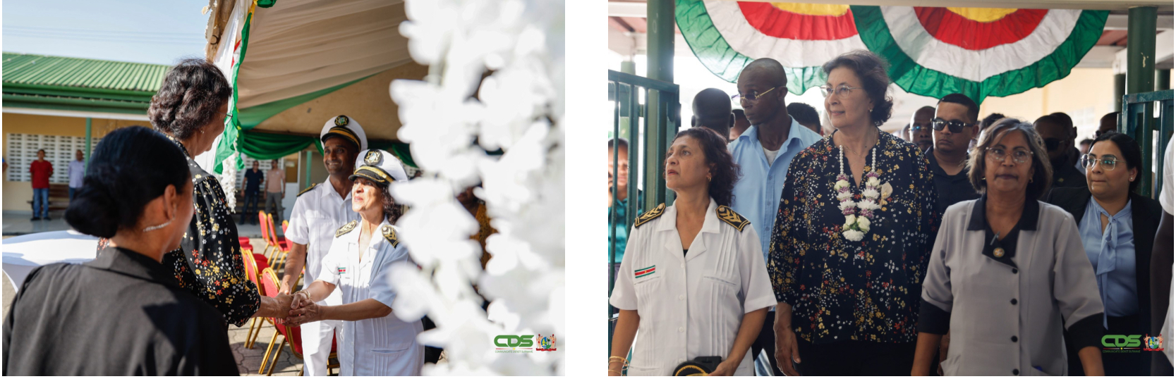 Description or Alt Text