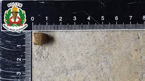 Description or Alt Text