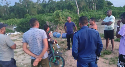 Description or Alt Text