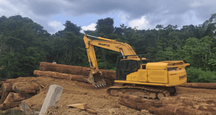 Description or Alt Text