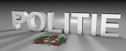 Description or Alt Text