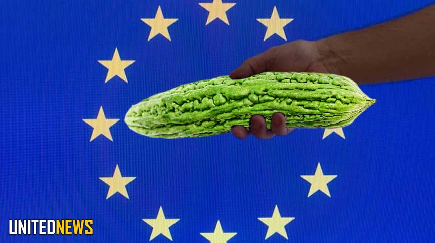 Description or Alt Text