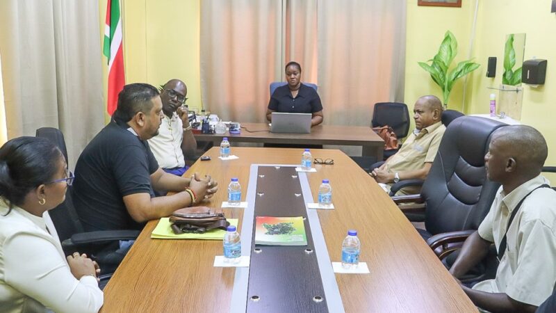 Description or Alt Text