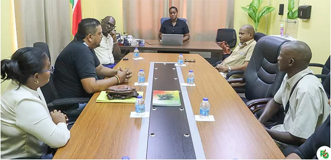 Description or Alt Text