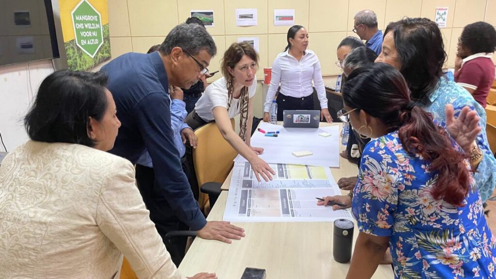 Description or Alt Text