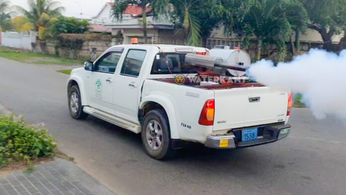 Description or Alt Text