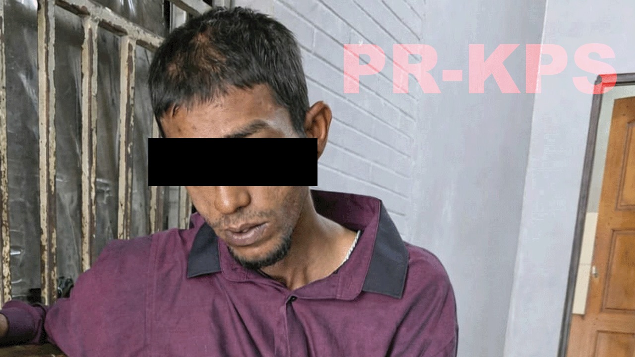 Description or Alt Text