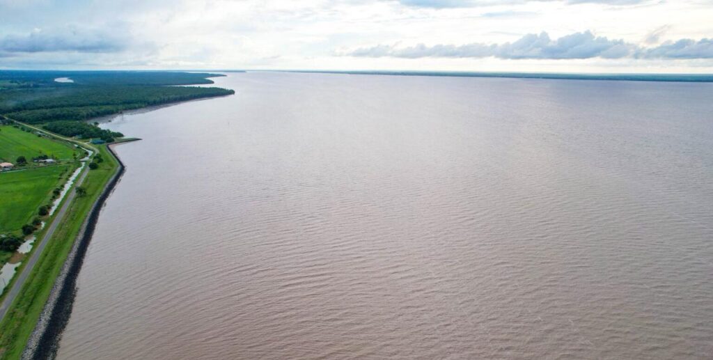 Description or Alt Text