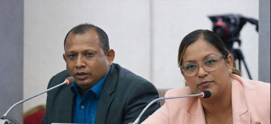 Description or Alt Text