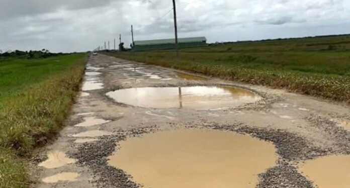 Description or Alt Text