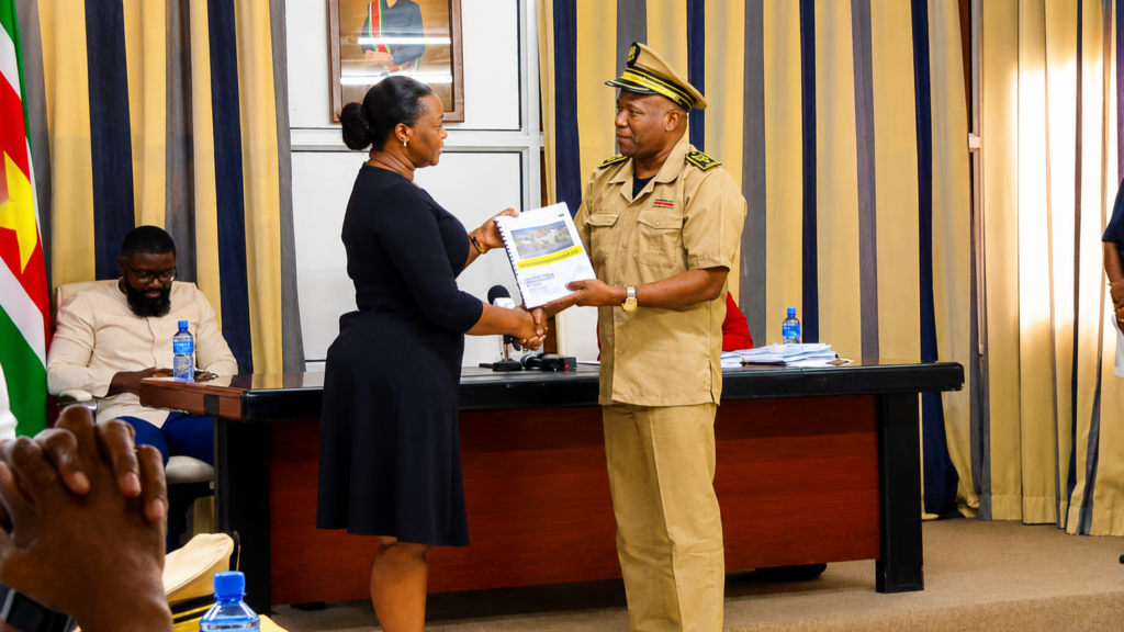 Description or Alt Text