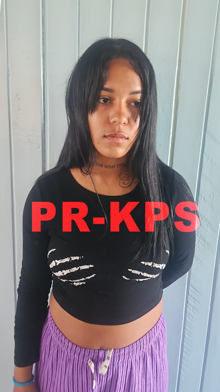 Description or Alt Text