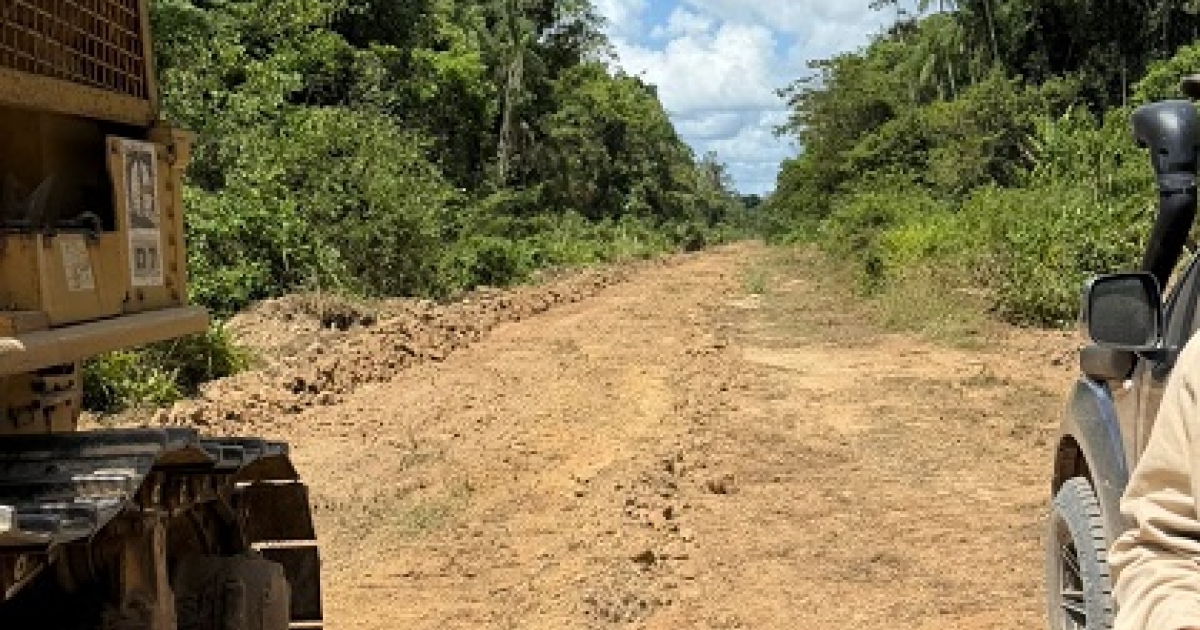 Description or Alt Text